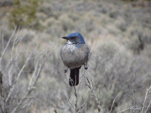 IMG_7317