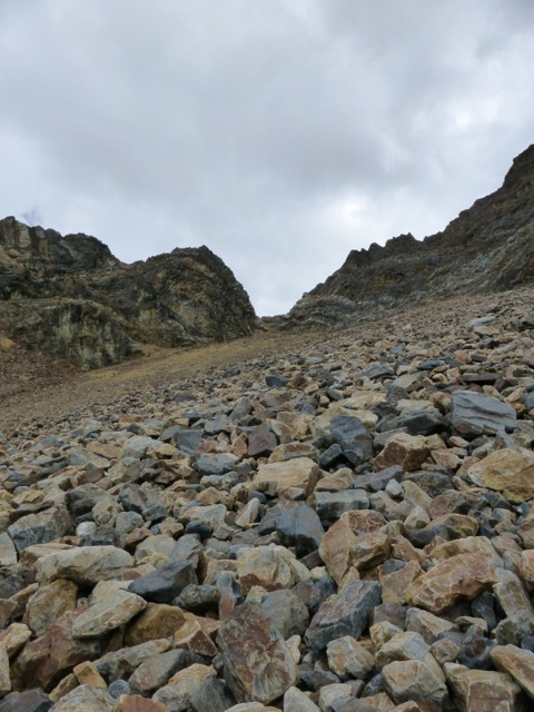 P1010484